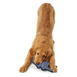 Tough Brisbane Crab 24cm Dog Toy