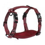 Red Alcott Reflective Adventure Harness