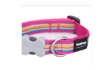 Red Dingo Hot Pink Stripes Dog Collar