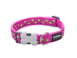 Red Dingo Hot Pink Star Dog Collar