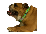 Red Dingo Lime Green Star Dog Collar - Medium