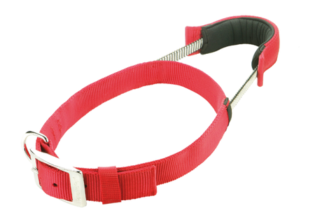 Patento Pet Red Dog Collar