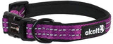 Purple Alcott Reflective Adventure Collar