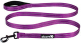 Purple Alcott Reflective Adventure Dog Lead