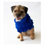 Blue Rascal Cableknit Dog Jumper