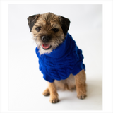 Blue Rascal Cableknit Dog Jumper