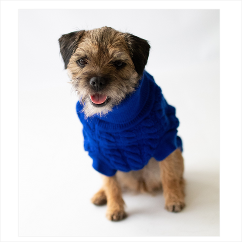 Blue Rascal Cableknit Dog Jumper