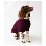 Grape Rascal Cableknit Dog Jumper