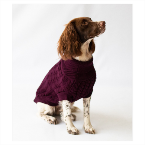 Grape Rascal Cableknit Dog Jumper