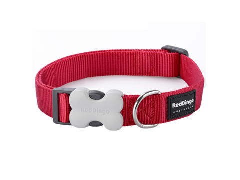 Red Dingo Plain Red Dog Collar