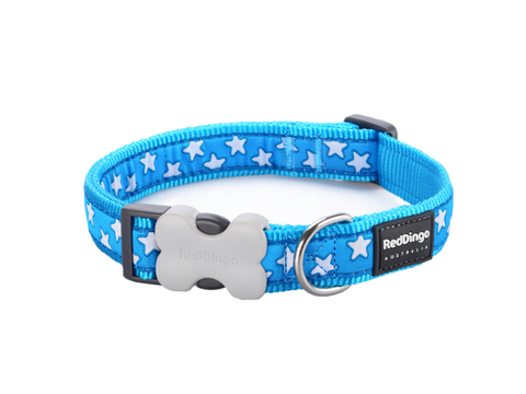 Red Dingo Turquoise Star Dog Collar