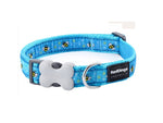 Red Dingo Turquoise Bumble Bee Dog Collar