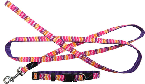 Hem & Boo Pink Zig Zags Puppy Collar & Lead Set