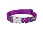 Red Dingo Plain Purple Dog Collar