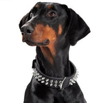 Hunter Rambo Genuine Cow Leather Dog Collar