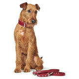 Hunter Aalborg Rustica Red Leather Dog Collar